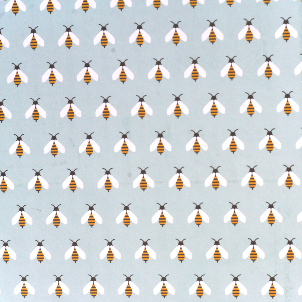 Gift Wrap (Honey Bee)