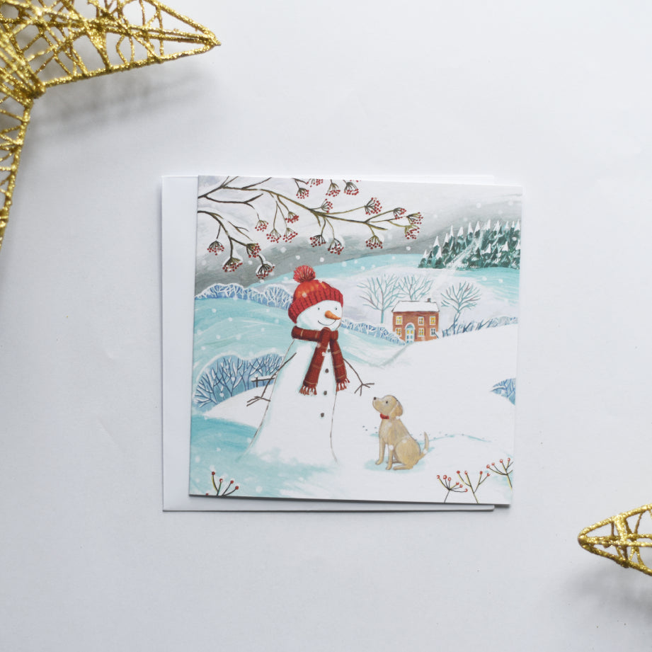 Snowman's Friend