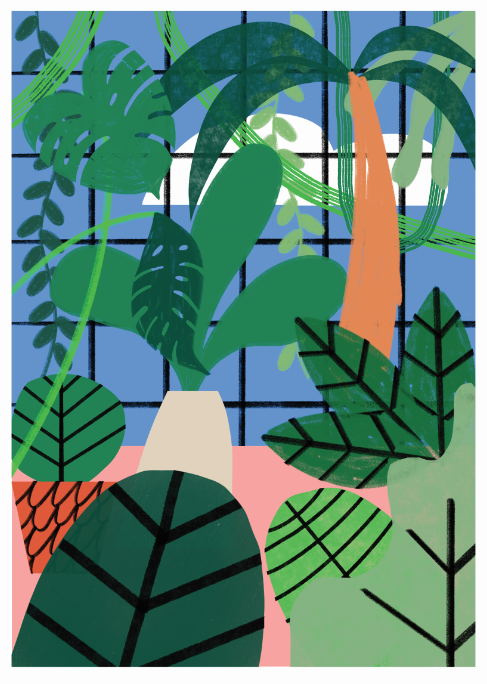 A3 botanical print from artist Molly Bland