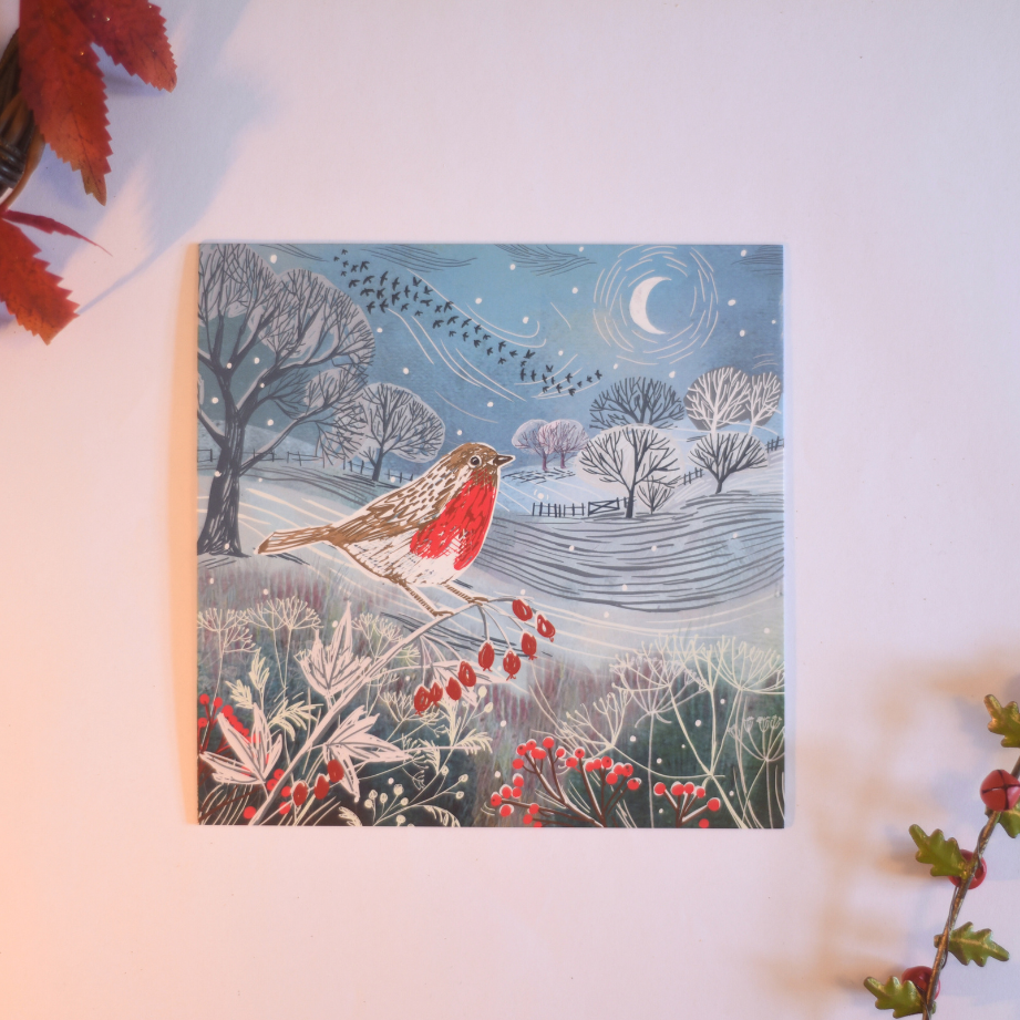 Moonlit Night Charity Christmas Cards - Pack of 10