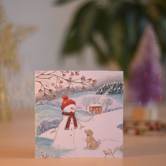 Snowman's Friend