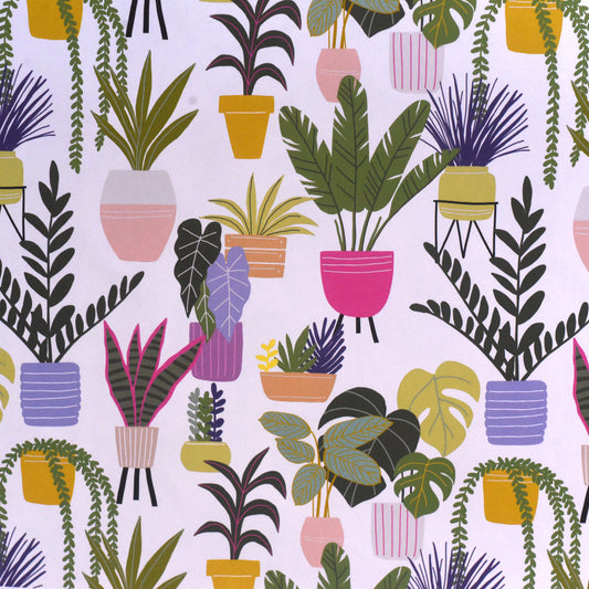 Gift Wrap (Houseplants)